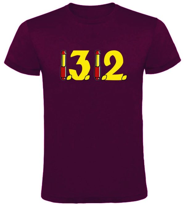 481229862_1538409827022021_6340103480439065636_n TRICOU 1312 VISINIU